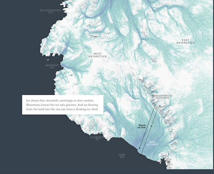 Antarctica NYT